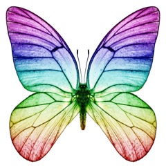 Spiritual Classes, Jennifer Hadley
