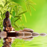 Cleansing and fasting brings mental clarity and body healing.