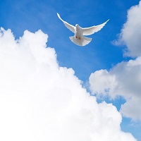 Healing the Habit of Disappointment