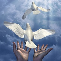 Freedom and Peace are both expressions of Love.