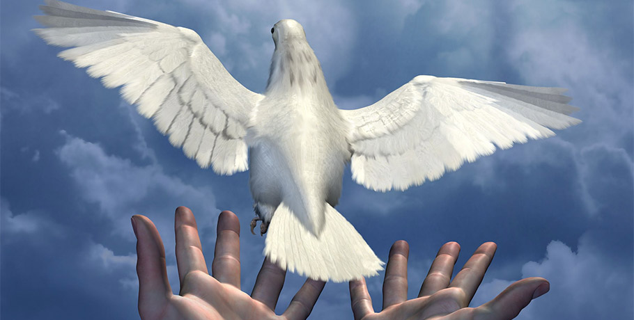 Freedom and Peace are both expressions of Love.