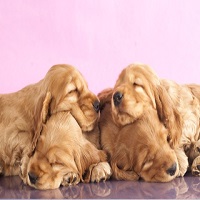 Love is so sweet when we simply allow it to be.