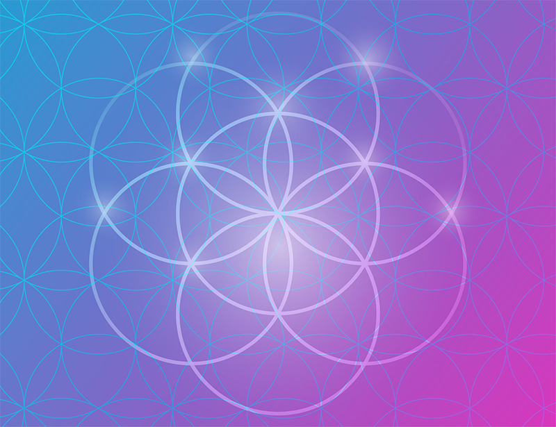 Abundance Accelerator