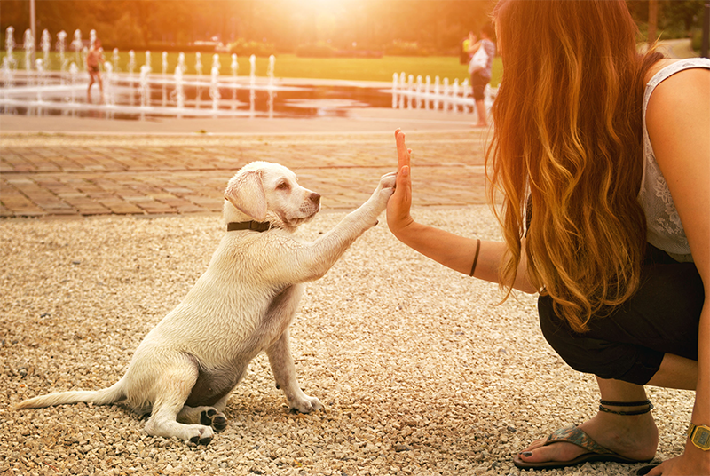 Your Communication Link with God