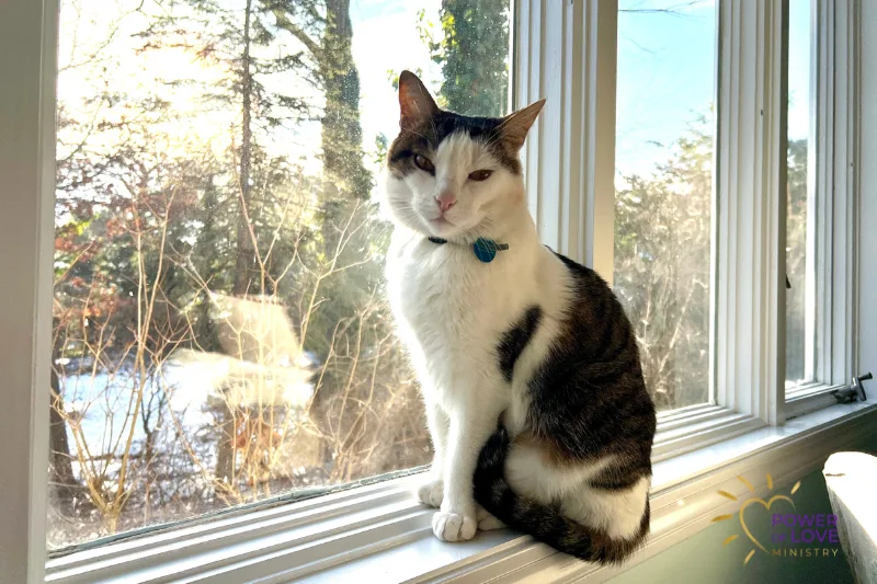 When Everything Is Actually Synchronicity Power Of Love Ministry