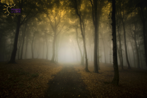 From Darkness to Light: My Journey With Mighty Companions
