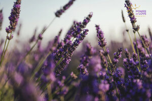 Managing and Coping Isn’t Healing