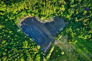 Withholding Love Is a Barrier to Love